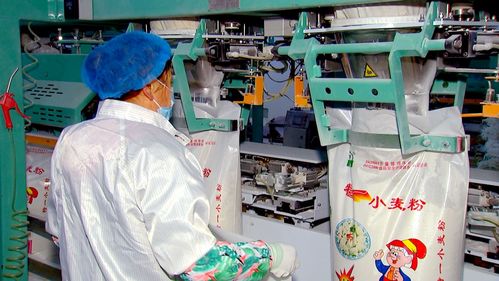 泰州泰興農產品加工園區 培大育強食品企業，聚力打造‘鮮食之都’與特色酒類產業新高地